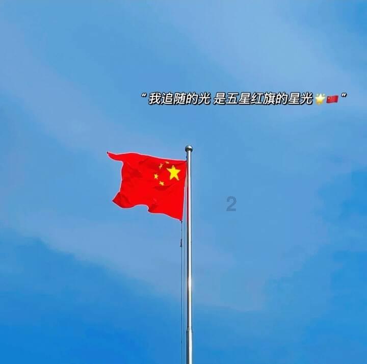 救援受困的小野猫